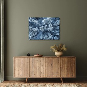 Kép - Havas erdő (70x50 cm)