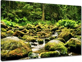 Vászonkép 90x60 Tátra Lengyel hegyek Kilátás