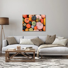Kép - Tök (70x50 cm)