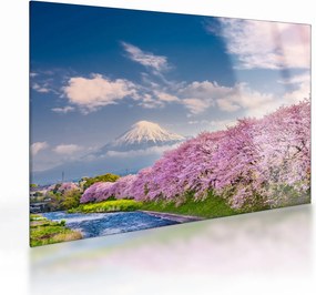 Kép - Japán tavaszi táj (üvegen) (70x50 cm)