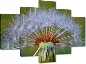 Képek 150x105 Pitypang Virág Virágok