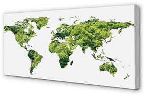 Canvas képek Térkép a zöld fű 100x50 cm