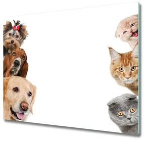 Üveg vágódeszka Kutyák és macskák 60x52 cm