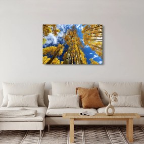 Kép - Aspen (90x60 cm)