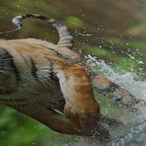 Futó tigris képe (120x50 cm)