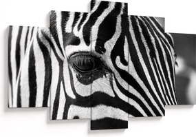 Zebra képe (150x105 cm)