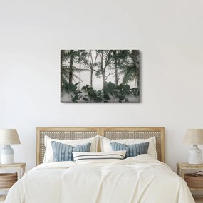 Kép - dzsungel a reggeli ködben (90x60 cm)