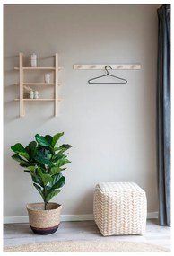 Natúr színű nyárfa fali fogas Abano – House Nordic