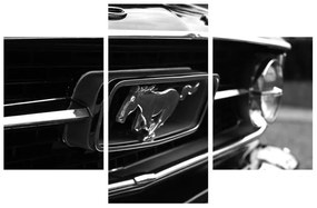 Mustang részletes képe (90x60 cm)