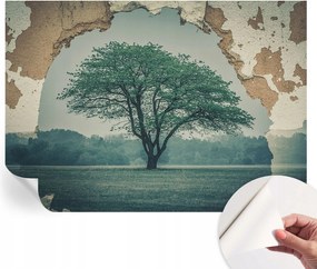 Modern öntapadós fotótapéta falra Magányos fa 208x146 cm