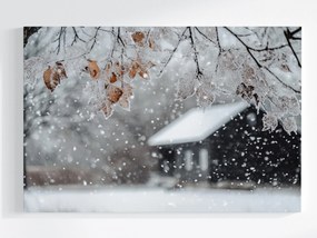 Vászonkép Canvas Tájkép Ház Fa Tél Hó Dér Jég Fagy 60x40