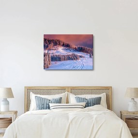 Egy kép egy téli tájról (70x50 cm)