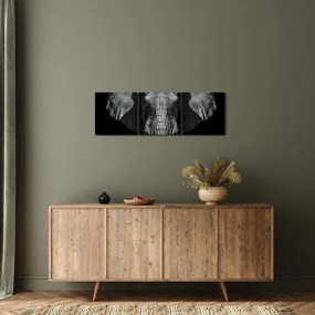 Kép - Elefánt fekete háttérrel (órával) (90x30 cm)