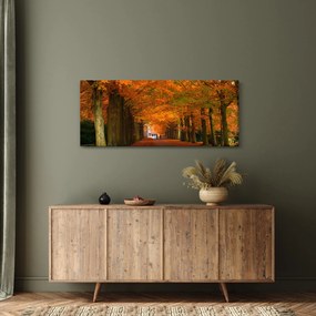 Kép - A Avenue of fák ősszel (120x50 cm)