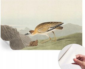 Fotótapéta Fali tapéta Hálószobába és Nappaliba Hegyi madár 416x254 cm