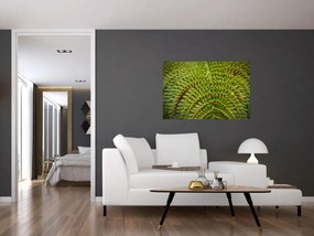 Kép - Fern (90x60 cm)