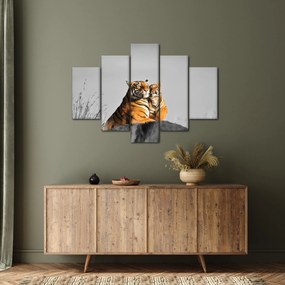 Kép - Tigris és a kölyke, fekete-fehér változat (150x105 cm)