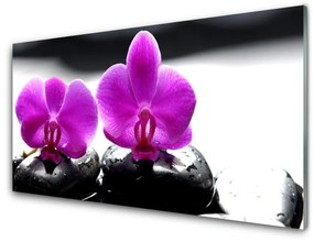 Modern üvegkép Orchidea virágok Természet 100x50 cm