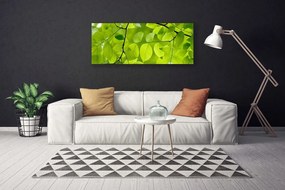 Vászonkép falra Elhagyja Plant 140x70 cm