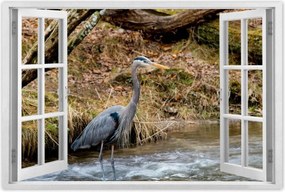 Poszterek 120x80 Kalapos madár Tájkép Kilátás