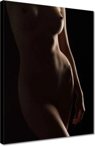 Vászonkép 30x40 Természetes szépség Érzéki éjszakai tekintet