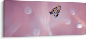 Kép - Pillangó (120x50 cm)