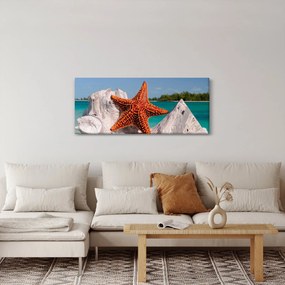 Egy tengeri csillag képe (120x50 cm)