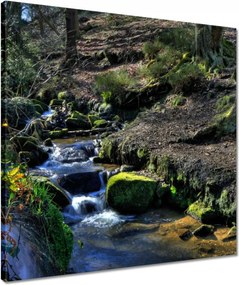 Vászonkép 50x50 Hegyi patak
