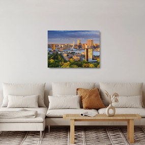 Kép - panoráma Rotterdam, Hollandia (üvegen) (70x50 cm)