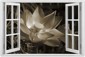 Poszterek 90x60 Lótusz Lótuszvirág