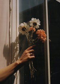 Poszter 64x90cm Sugár és szirmok