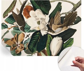 Modern öntapadós fotótapéta Mosható Madarak magnólia 312x219 cm