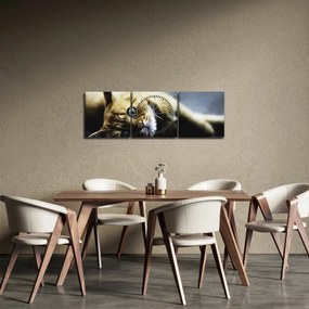 Macska képe (órával) (90x30 cm)