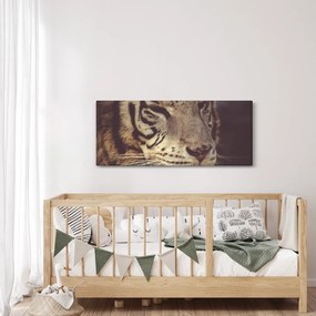 Tigris képe (120x50 cm)
