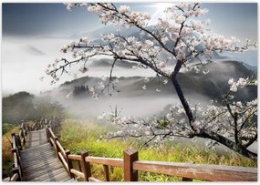 Poszterek 100x70 Japán Virágzó cseresznye