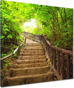 Vászonkép 80x80 Lépcsők az erdőbe