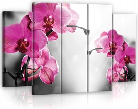 Vászonkép 5 részes Orchidea Modern Nagy 150x100