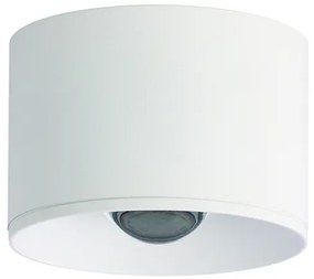 ZAMBELIS-S132 Fehér Színű Kültéri Mennyezeti Lámpa LED 12W IP54