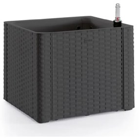 STEFANPLAST Önitató láda Natural Deluxe 35 l, antracit