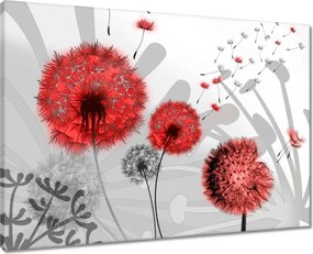 Vászonkép 70x50 Piros pitypangok