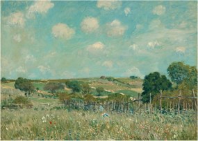 Üveg kép - Alfred Sisley,  Meadow, reprodukciók (70x50 cm)