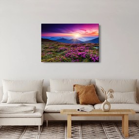 Kép - Hegyi virágzó táj (90x60 cm)