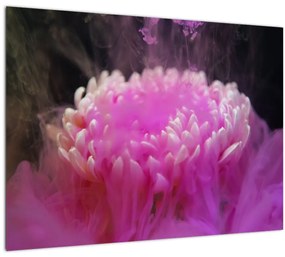 Rózsaszín virág képe a füstben (üvegen) (70x50 cm)