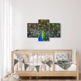Kép - Páva (90x60 cm)