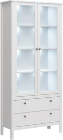 Vitrin 2W2S, fehér, OLJE