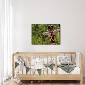 A zsiráf képe hátulról (70x50 cm)