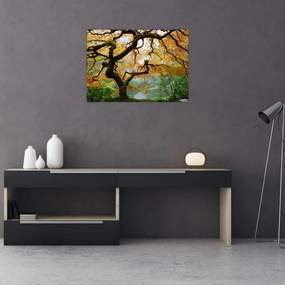 Egy sárga japán juhar képe, Portland, Oregon (üvegen) (70x50 cm)
