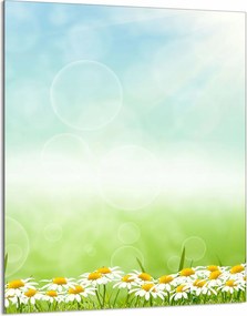 Üveg Vágódeszka 40x52 Margaréták a Konyhába