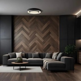 LED Dimmelhető mennyezeti lámpa ZYGMUNT LED/72W/230V 3000-6000K + távirányító