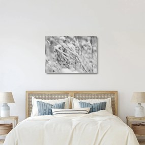 Üveg kép - Havas ágak (70x50 cm)